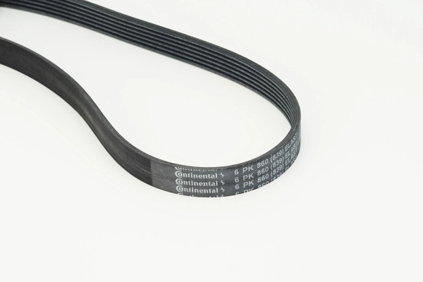 V-ribbed Belt